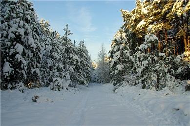 黑白漫画悬疑恐怖视觉小说《潜入》将于11月8日登陆Steam