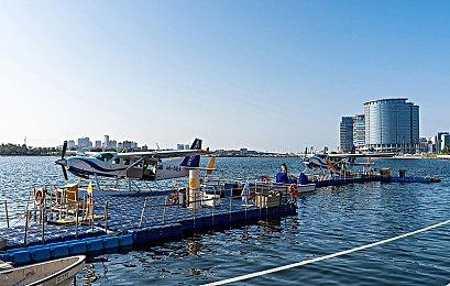 《海狸浮生记》第三弹免费更新上线，全平台8折史低特惠中